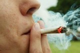 Marijuana coltivata in giardino: minorenne denunciato per spaccio