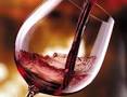 Festa dei vini e dell'uva: torna a Velletri l'appuntamento all'insegna del 'buon bere'