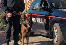 'Ndrangheta, spacciavano per conto delle cosche: 9 persone in manette. Cosmo: 