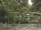 Fiumicino, cade un albero: cimitero chiuso a via Portuense