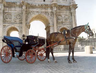 Cavallo di una botticella cade in piazza Venezia. L'animale soccorso dai presenti