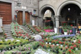 VITERBO – Sta per partire “San Pellegrino in fiore”