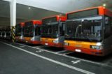 Con la riapertura delle scuole servono nuovi bus: il Comune a caccia di mezzi per garantire il distanziamento