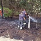 SABAUDIA - Ancora un incendio nella foresta del Parco