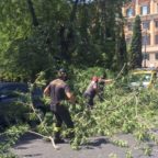 COLA DI RIENZO - Cadono due alberi vicino alle auto
