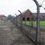 Giorno della Memoria: A Roma la mostra “Dall’Italia a Auschwitz”