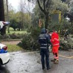 VILLA BORGHESE - Cade un albero per il maltempo. Ferite due turiste