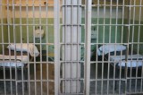 ASL ROMA F, siglato accordo con istituti carcerari di Civitavecchia per adozione Carta Servizi Sanitari Cittadini Detenuti