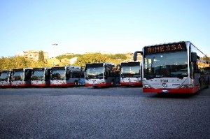 Improta: dal 2014 riorganizziamo i bus, linee più corte e meno fermate