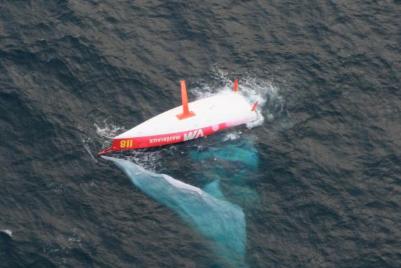 Santa Marinella, continuano le ricerche dei due velisti scomparsi ieri in mare