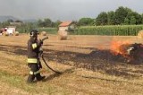 Incendio in una azienda agricola di Ceccano: in fiamme 150 rotoballe