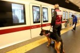 Metro A, insulta il macchinista: malore per il lavoratore e treno fermo per 20 minuti a Battistini