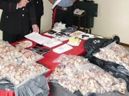 Ardea, sequestrate 600 capsule di papaveri da oppio: 2 arresti