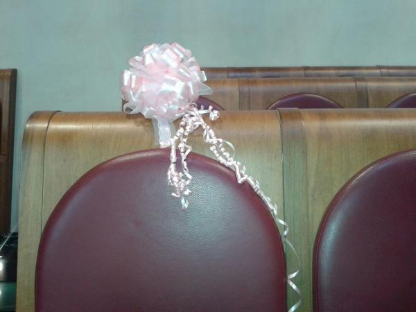 Fiocco rosa in assemblea capitolina per la figlia di Di Biase e Franceschini