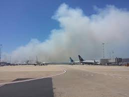 Fiumicino, fiamme nella pineta: in tilt l'aeroporto Renzi: 