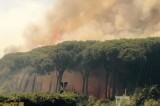 Fiumicino, allarme incendi: 7 incendi in pochi giorni