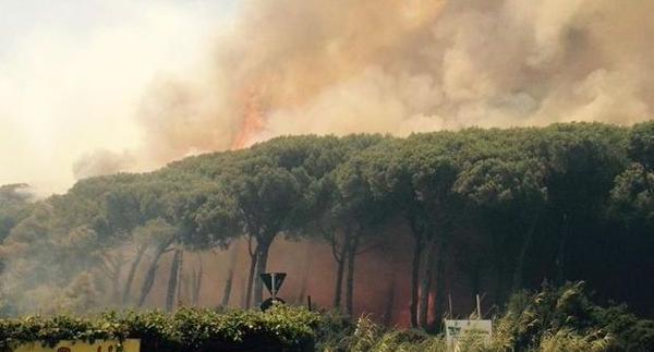 Incendi, Lazio seconda regione per numero di roghi