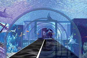 Roma avrà il suo aquarium: aprirà in primavera all'Eur