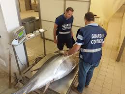 Sequestrati oltre tre quintali di tonno