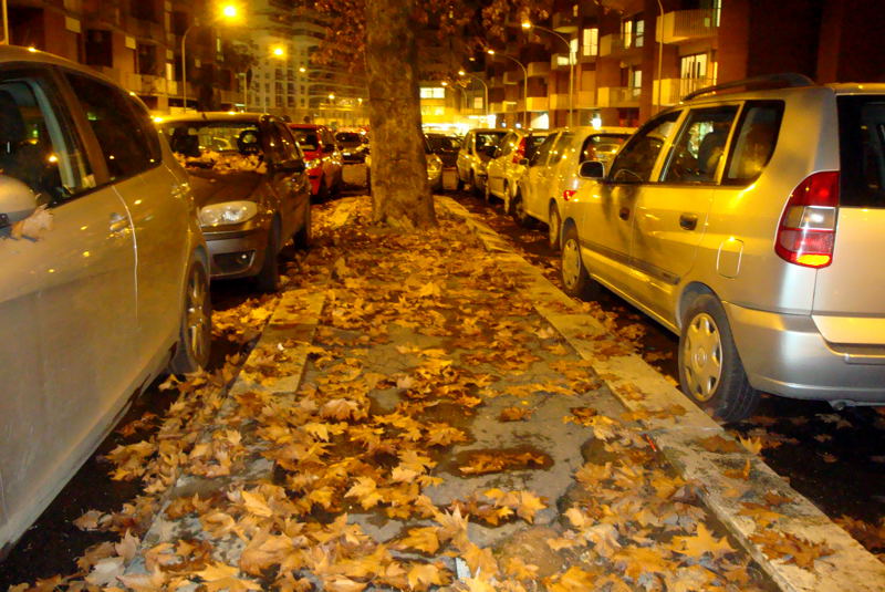 AMA - Piano foglie: Altri mille interventi su strade alberate