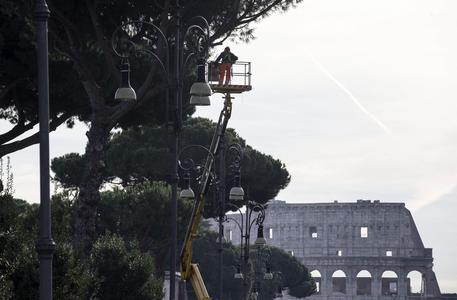 A Roma 320 mila alberi ma manca la cura