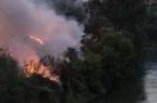 Incendio nella notte al Gazometro: fiamme e nube di fumo