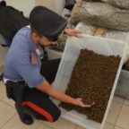 Blitz a Roma dei carabinieri: 4 arresti e oltre 300 chili di droga sequestrati