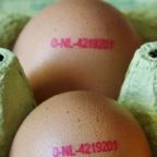 Uova contaminate anche a Viterbo