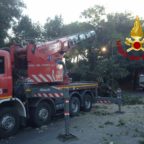 COLLE OPPIO - Cade un albero di 20 mentri su due auto