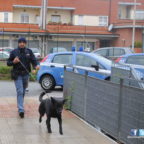 BORGHESIANA - Appartamento come base di spaccio: 2 arresti
