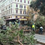 PRATI - Crolla un albero in strada sulla linea 913. Caos e blocco del traffico