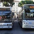 Manifestazioni e potature: domenica bus deviati