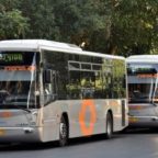 Da  Tel Aviv alla Magliana, Atac noleggia i bus israeliani