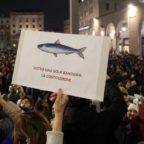 Sardine invadono San Giovanni, è sfida alla politica